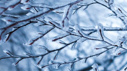 Hogyan kerül az ón az esőbe?