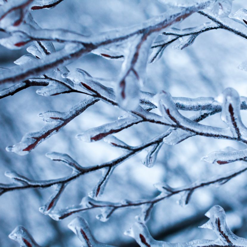 Hogyan kerül az ón az esőbe?