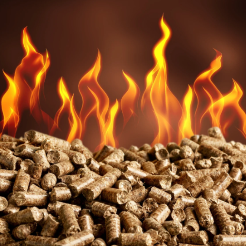 Valóban megújuló erőforrás a biomassza?