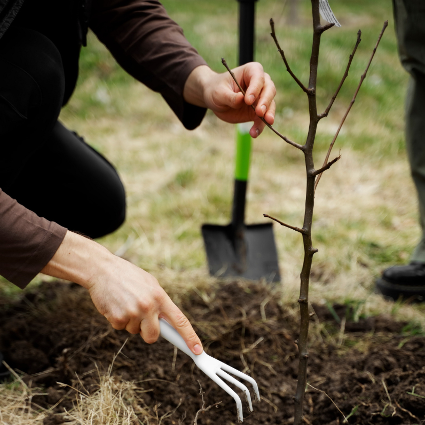 Karbonlábnyom-csökkentés a SPAR meghatározó rendezvényein