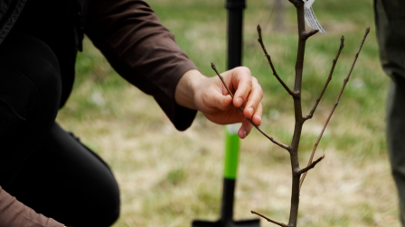 Karbonlábnyom-csökkentés a SPAR meghatározó rendezvényein