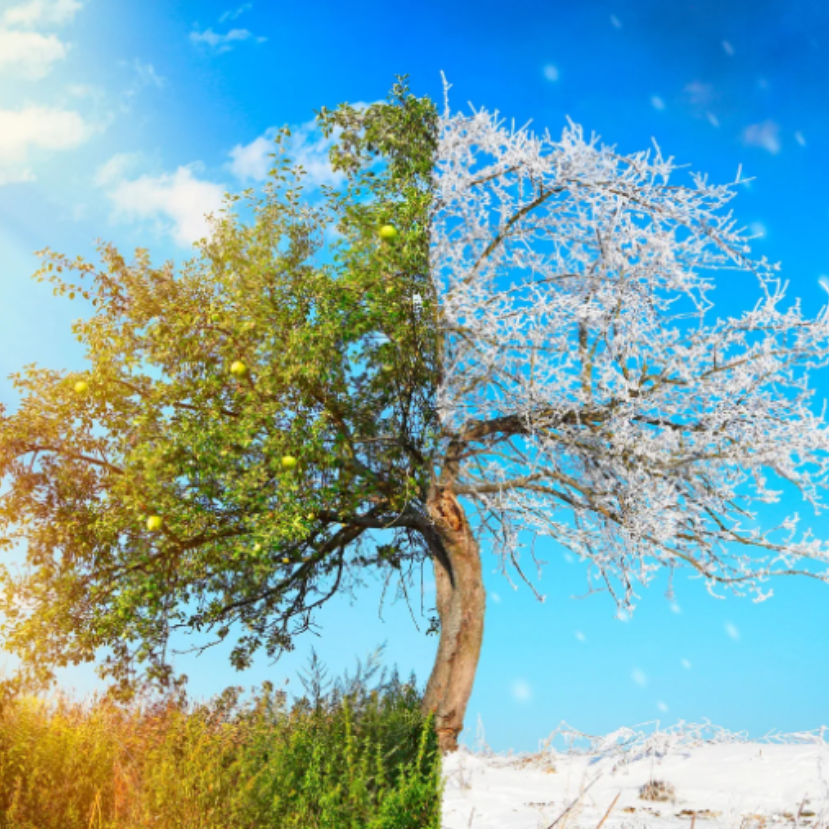 Miközben Európa hó alatt, Ausztrália felforrt