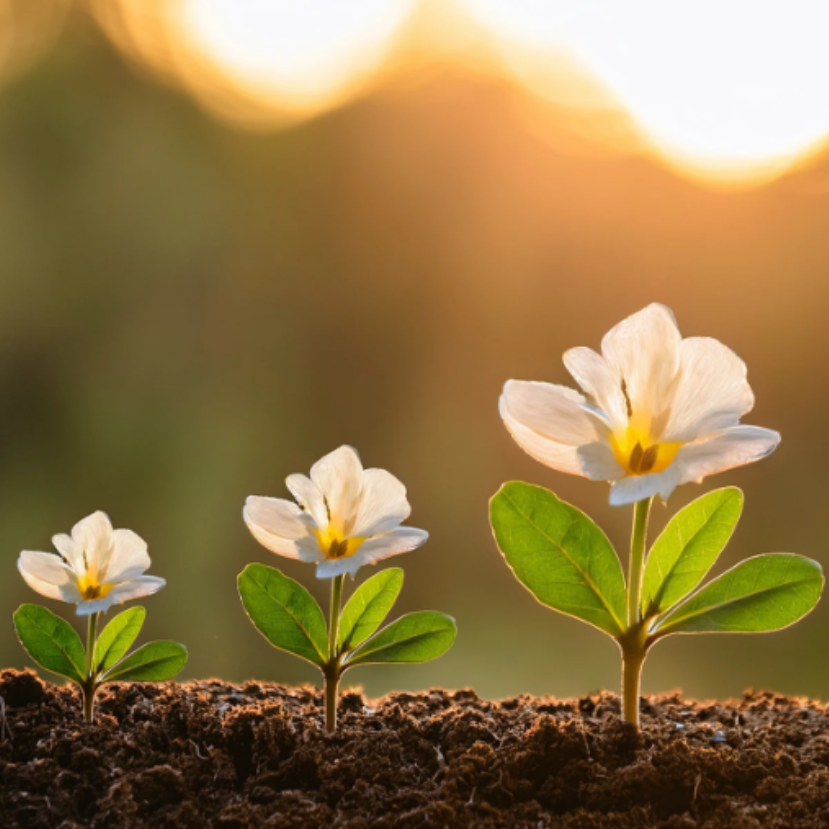 Levél az ENSZ magas szintű szakértői csoportjához