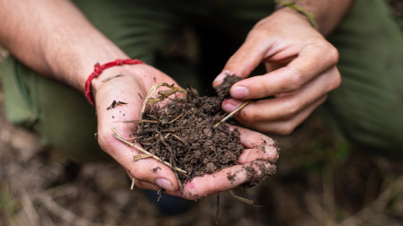 Egészséges talaj nélkül nincs egészséges élelmiszer sem – Interjú
