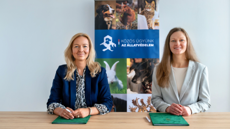 Új pályázati lehetőség állatvédő szervezeteknek!