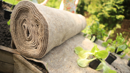 Egy anyag, amely több fronton is segíti a kerted: ismerd meg a gyapjú ezer arcát! – Interjú