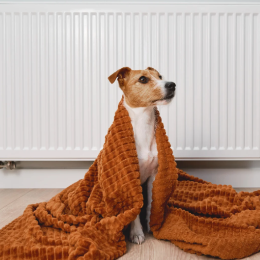 Tovább korszerűsíthetjük távfűtéses otthonainkat