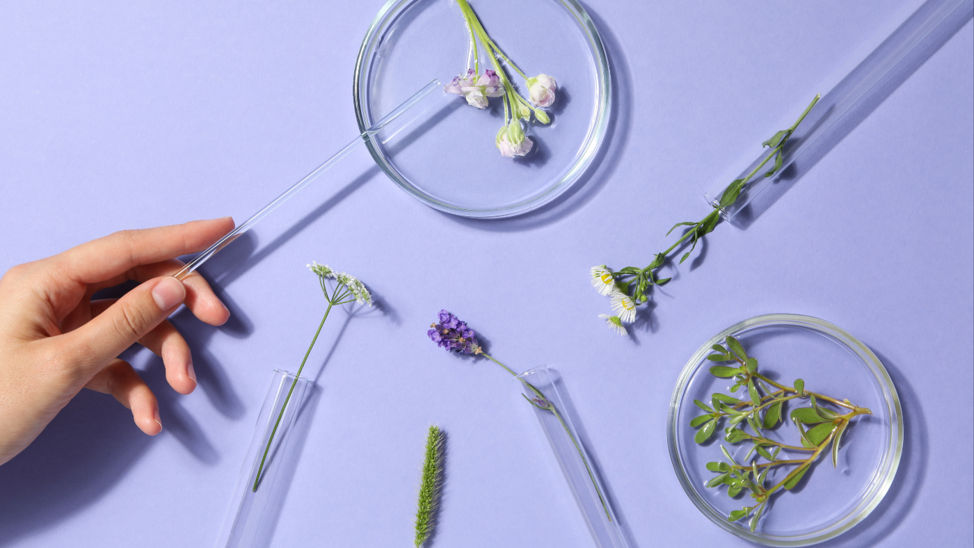 Gyógynövényes megoldás segíthet a gazdáknak – Interjú