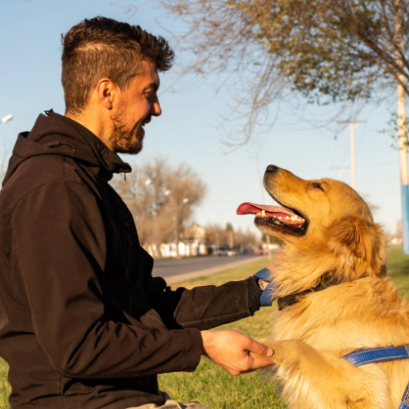 Folytatódik hazánk első, diplomához nem kötött állatvédelmi ösztöndíjprogramja