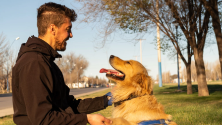 Folytatódik hazánk első, diplomához nem kötött állatvédelmi ösztöndíjprogramja