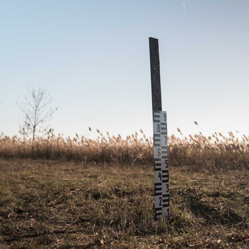 A természettel együttműködő társadalomra van szükség – Interjú