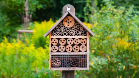 Február végéig érdemes elkészíteni és kihelyezni a méhecskehoteleket