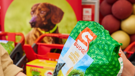 Több tízezer felajánlás a menhelyi kutyáknak és cicáknak