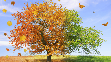 Eltörlik a négy évszakot: így hívják őket ezután!