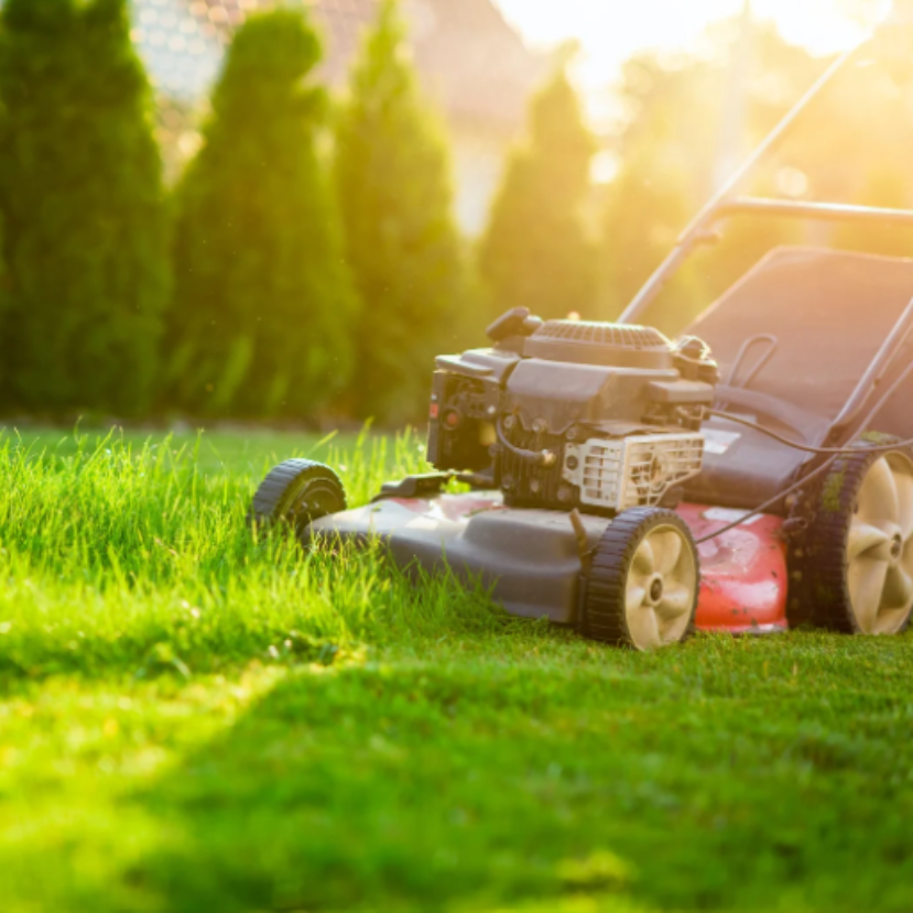 Törekedjünk a természetbarát fűnyírásra!
