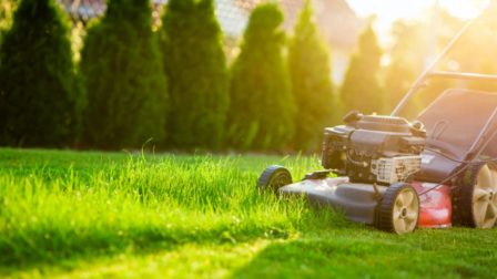 Törekedjünk a természetbarát fűnyírásra!
