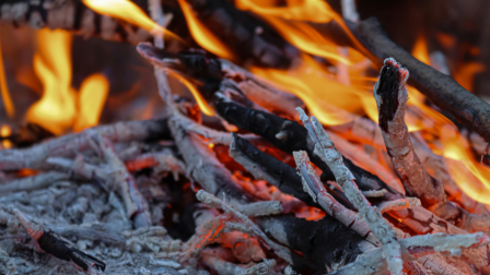 Hamu a kertben: így használd, hogy csodákat tegyen!