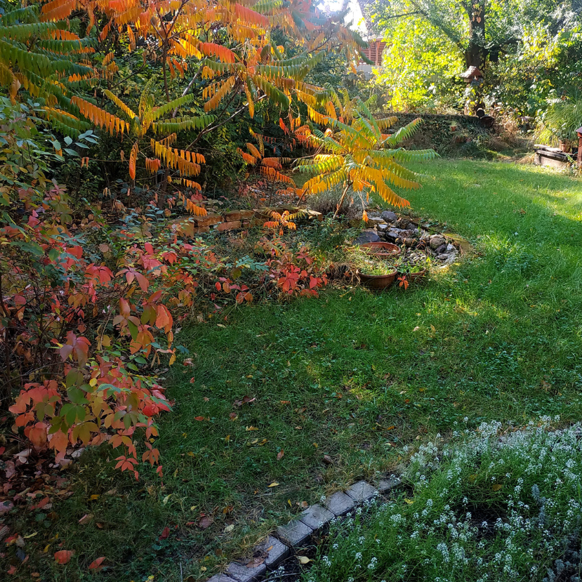 Fenntartható kertek verseny 2026 – Kertek, melyek adnak a természetnek, és nem elvesznek tőle