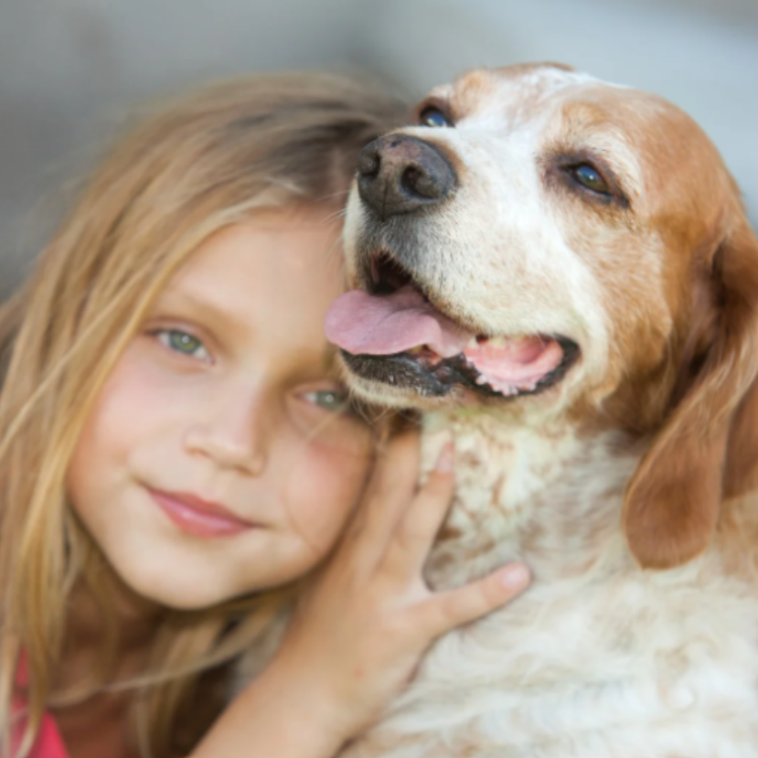 Állatasszisztált program a gyermekekért