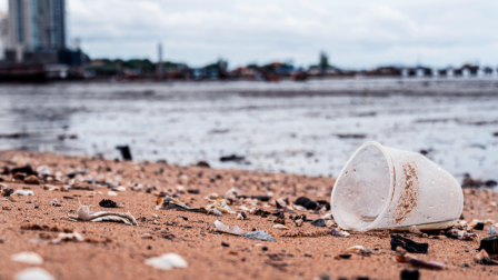 Tényleg megeszünk hetente egy bankkártyányi műanyagot? – Podcast