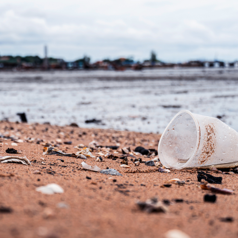 Tényleg megeszünk hetente egy bankkártyányi műanyagot? – Podcast