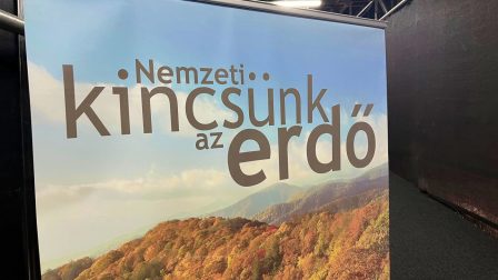 Az erdő a jóllét záloga, de vajon sikerül megőriznünk?