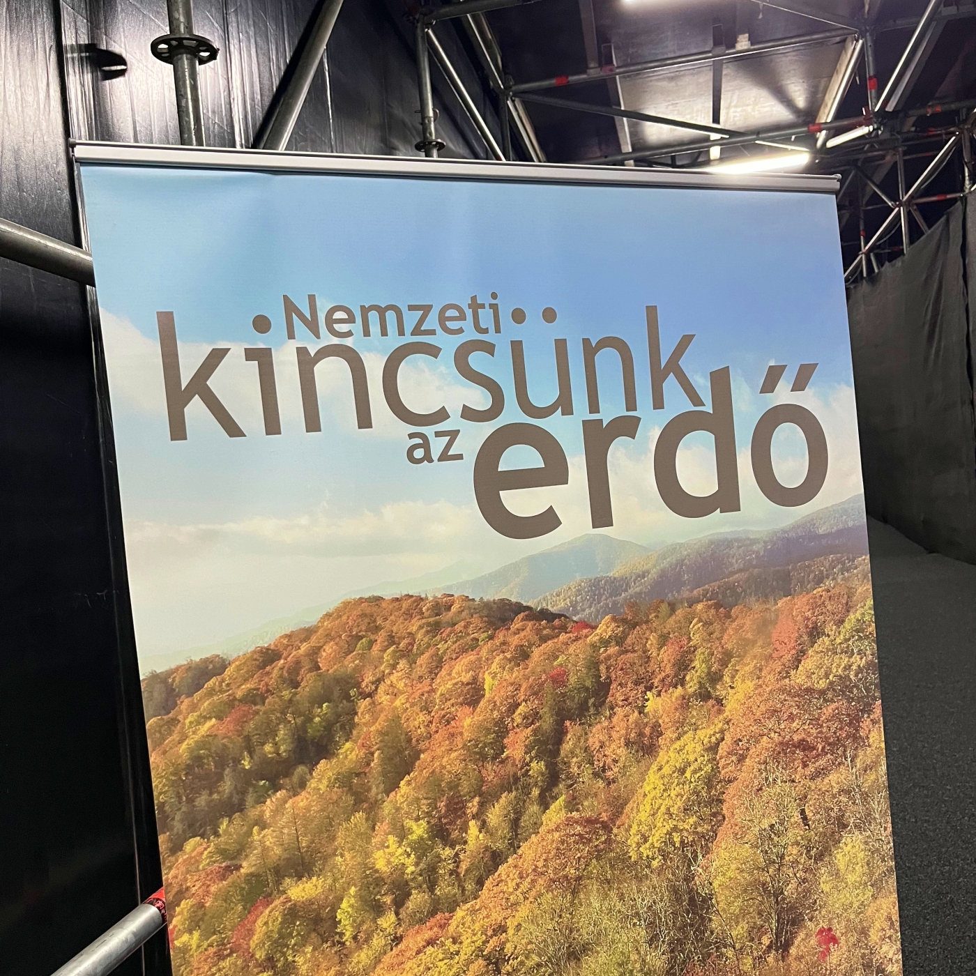 Az erdő a jóllét záloga, de vajon sikerül megőriznünk?