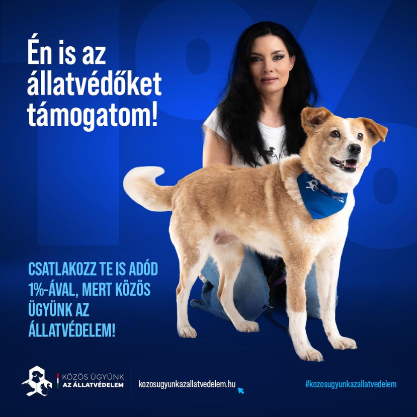 Támogassuk az állatvédelmet!