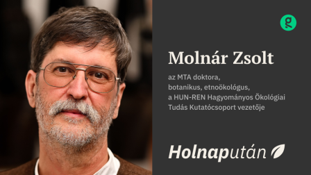 Lehet, hogy a jövő kulcsa a pásztorok kezében van?