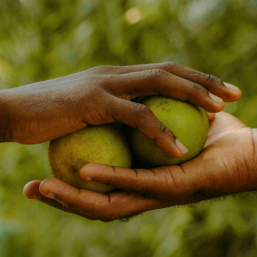 Folytatódik a nagy sikerű agrárszakképzési program Ghánában