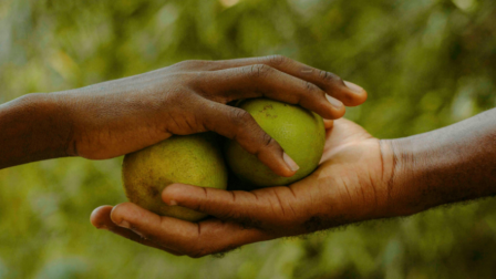 Folytatódik a nagy sikerű agrárszakképzési program Ghánában