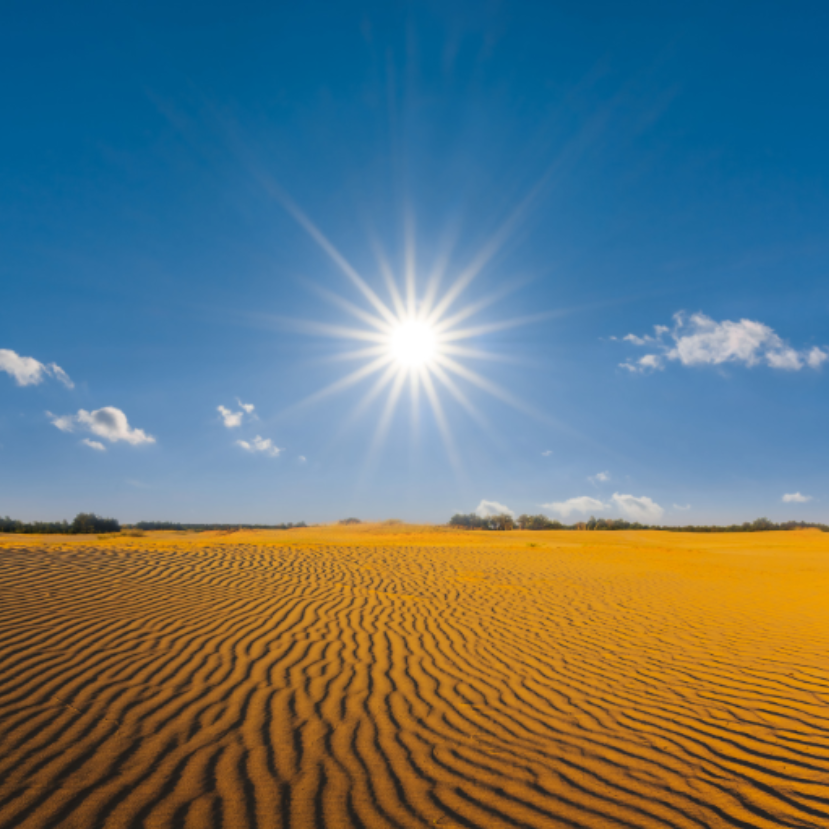 Nem mindenhol jó az erdő?