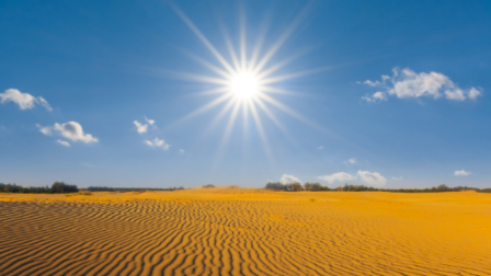 Nem mindenhol jó az erdő?