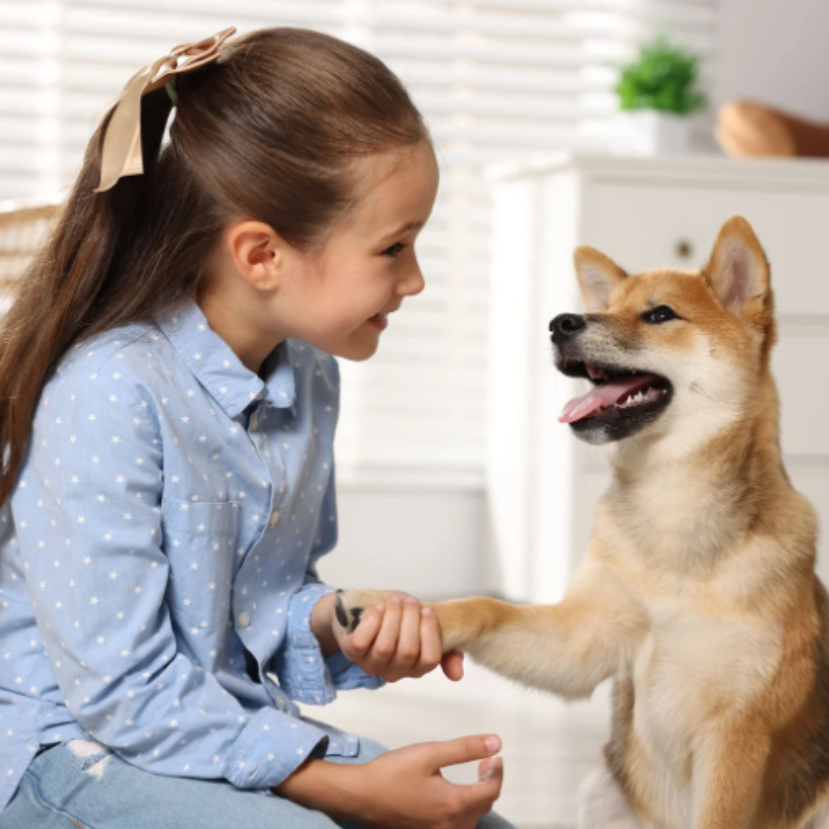 Állatokkal a beteg gyermekek gyógyulásáért