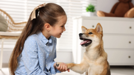 Állatokkal a beteg gyermekek gyógyulásáért