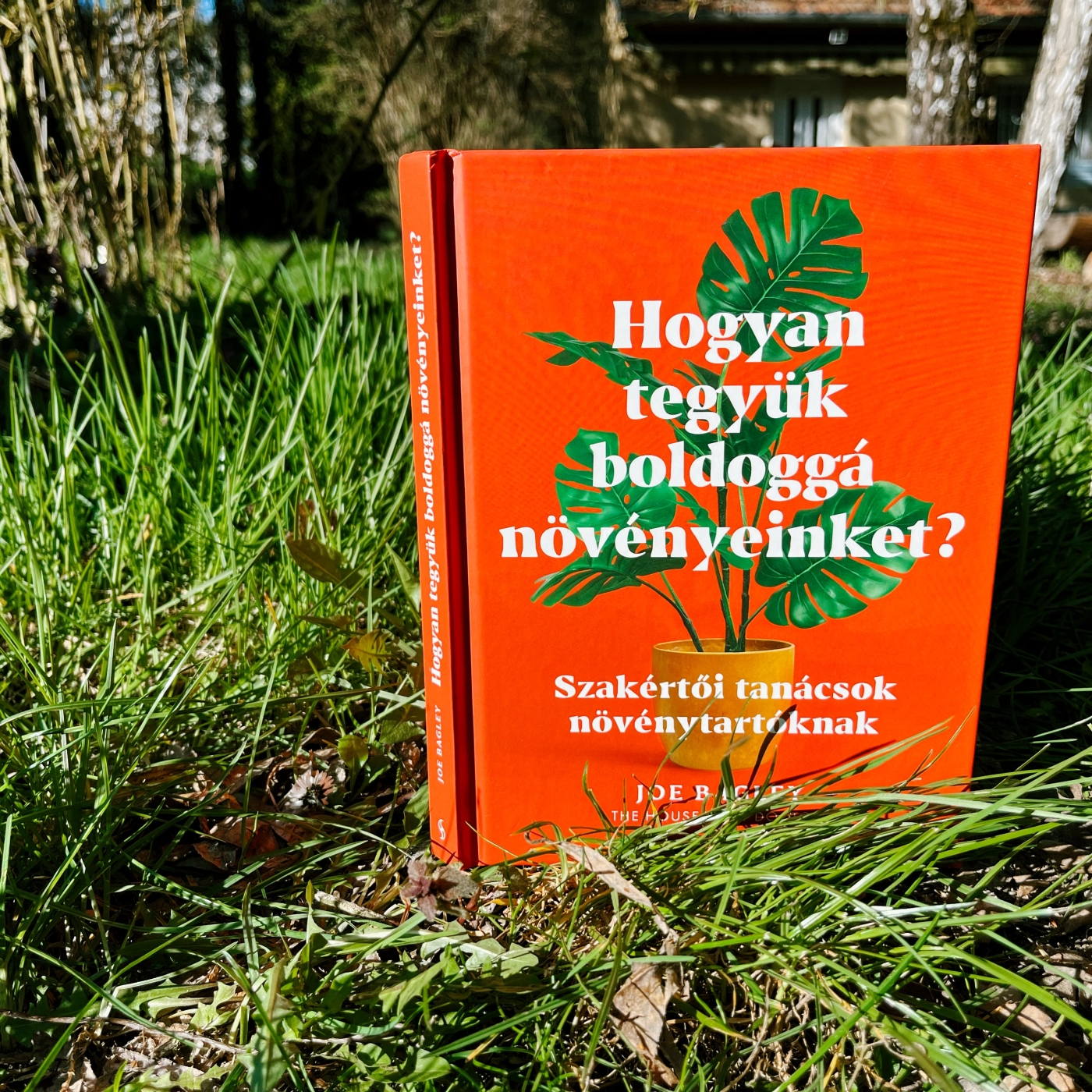 A növénydokit kérdezd, ne az AI-t! – Könyvajánló