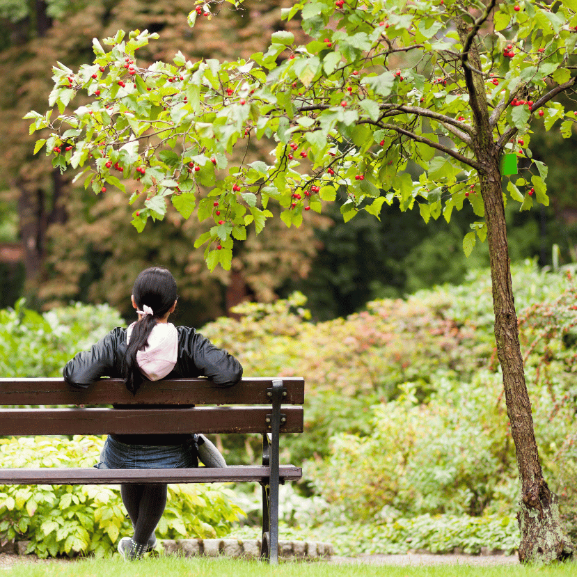 Gyógyítókertek: kapaszkodó és megnyugvás felbolydult világunkban – Holnapután