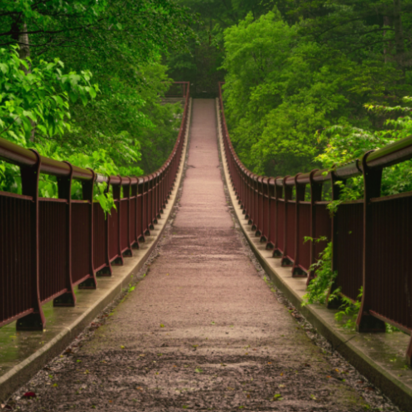 Híd az iskolák és a fenntarthatóság között