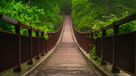 Híd az iskolák és a fenntarthatóság között