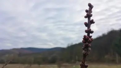 A kezdő vidéki februárja