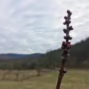 A kezdő vidéki februárja