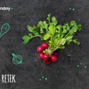 Meatless Monday: használd fel a hónapos retek minden részét!