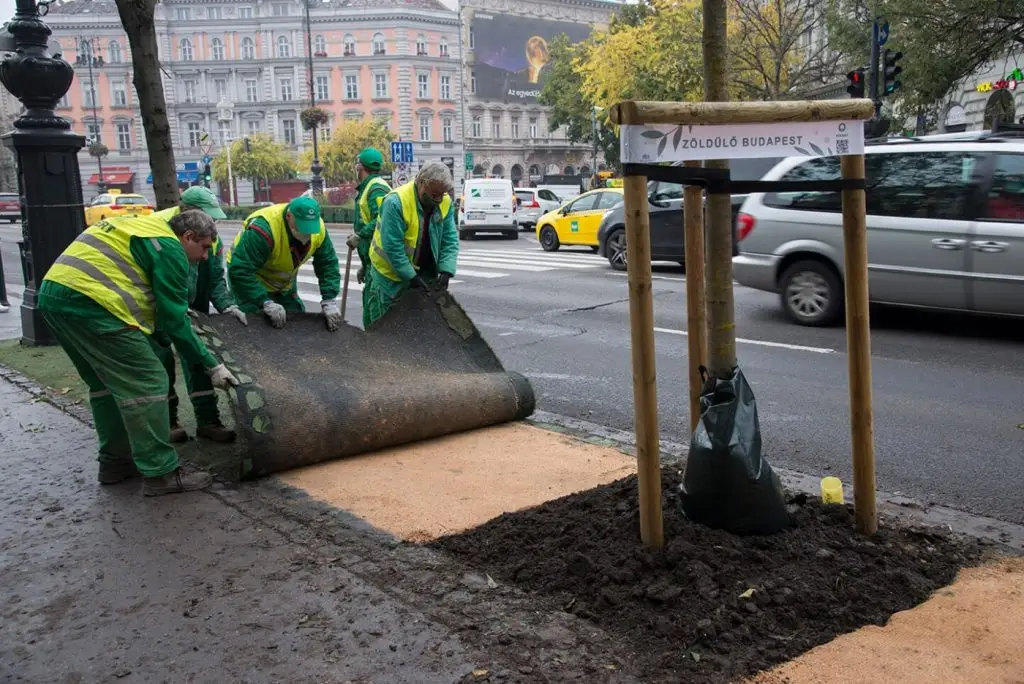 főkertvárosi fákfaültetés