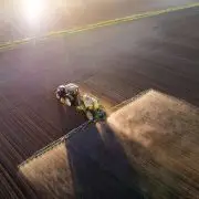 Kedvenc mérgünk a glifozát: 1600 tonna/év Magyarországon, maradhat?