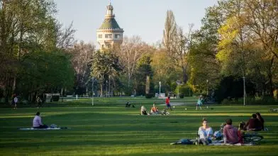 Appokkal a fővárosi fák nyomában