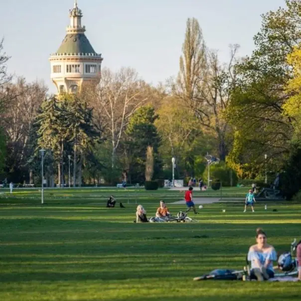 Appokkal a fővárosi fák nyomában