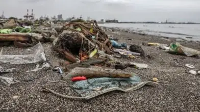 Több 100 milliárd maszk marad a nyakunkon a járvány után