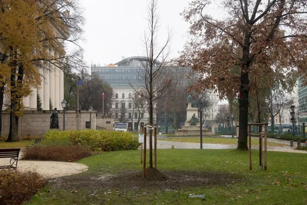 szent istván hársvárosi fák