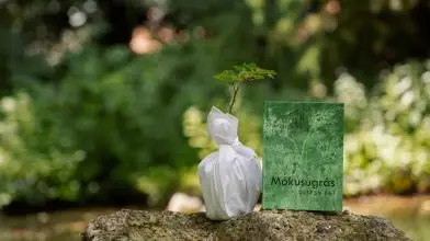 Mókusugrás – Egy notórius faültető könyve