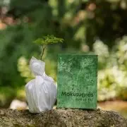 Mókusugrás – Egy notórius faültető könyve